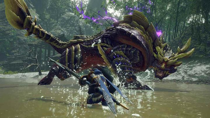 Actual product image Nintendo Monster Hunter Rise (Switch, Multilingual)