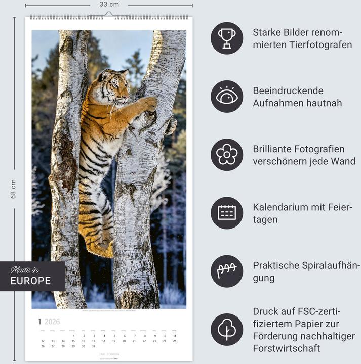 Produktbild Big Cats Kalender 2026 (33 x 68 cm)