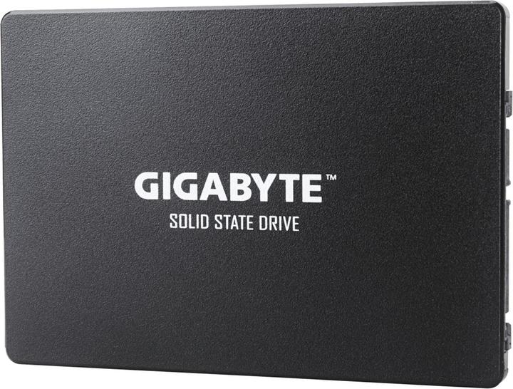 Productafbeelding Gigabyte GP-GSTFS31256GTND (256 GB, 2.5")