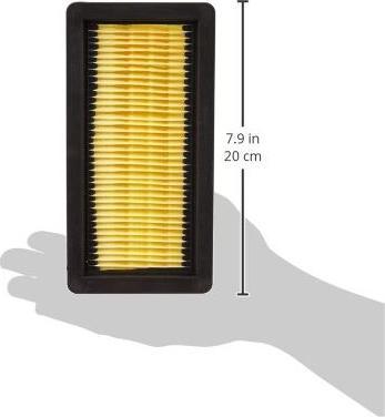 Image du produit Kärcher Filtre à plis plats