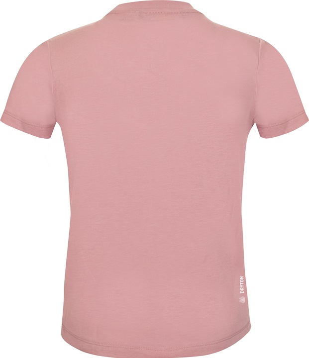 Immagine prodotto Salewa Grafica Dry S/S (104)