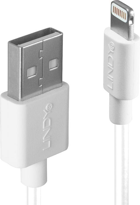 Produktbild Lindy USB A – Lightning (1 m, USB 2.0)