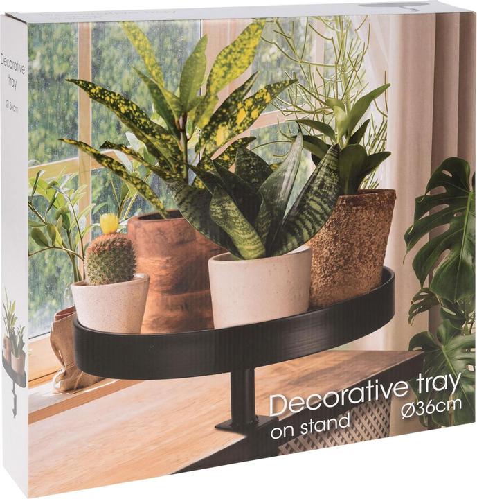 Produktbild Koopman Moses