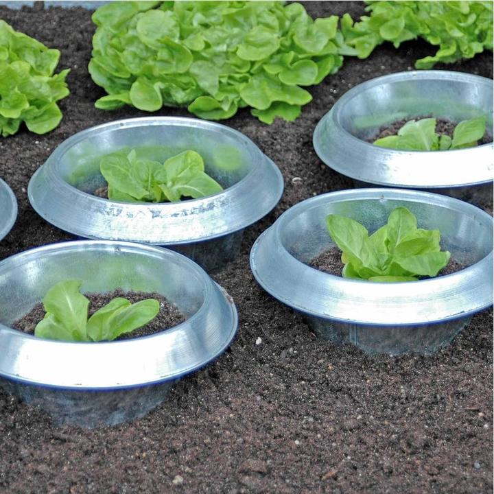 Actual product image Andermatt Biogarten SnailStop