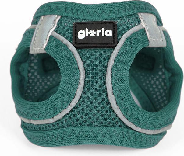 Produktbild Gloria Hundegeschirr Trek Star 27-28 cm 31-34,6 cm türkis XS (XS, Hund)