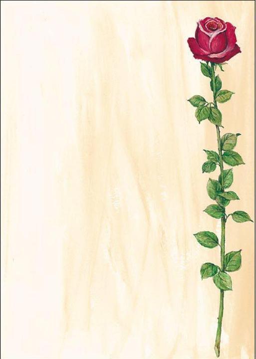Produktbild Sigel Design-Papier (90 g/m², 25 x, A4)