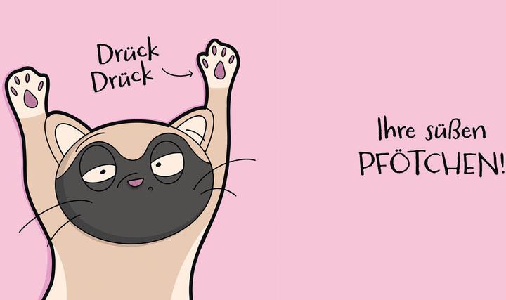 Productafbeelding Katzen (sind) verrückt – 40 Gründe, warum deine Katze nicht von dieser Welt ist (Duits, Katharina Hohmann, 2022)