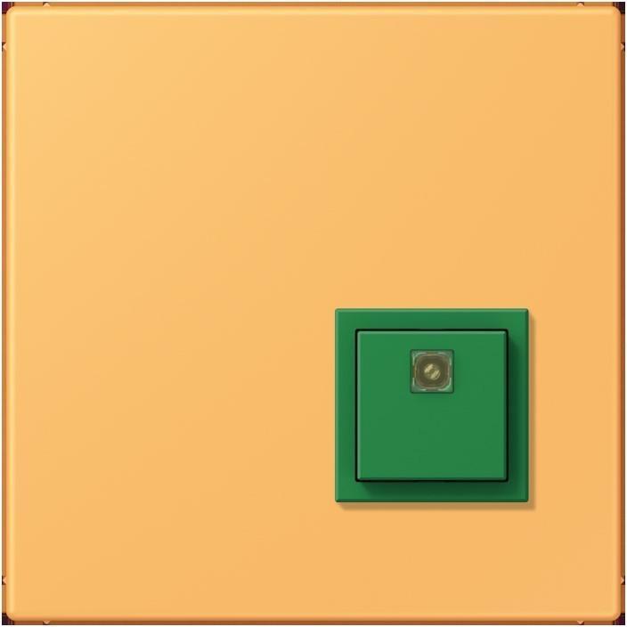 Actual product image JUNG Switch-off button