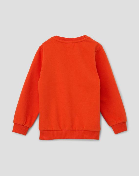 Produktbild s.Oliver Sweatshirt Sweatshirt mit weicher Innenseite (92)