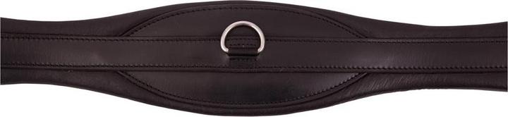 Produktbild Premiere Sattelgurt