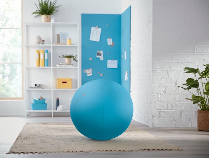 Actual product image Leitz Ergo Cosy Active sitting ball (65 cm)