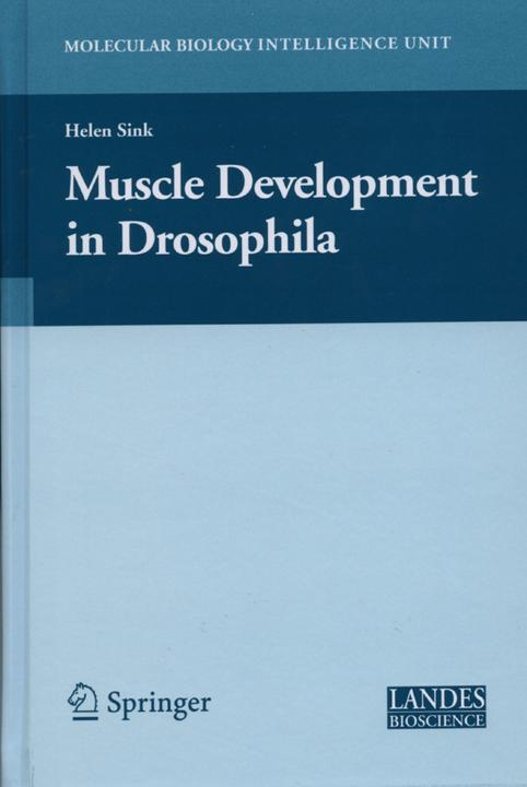 Muscle Development in Drosophilia (Helen Sink, 2010)