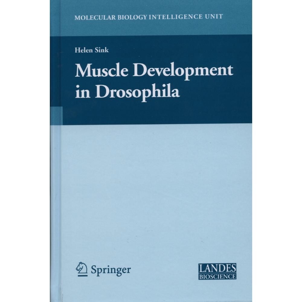 Muscle Development in Drosophilia, Fachbücher von Helen Sink