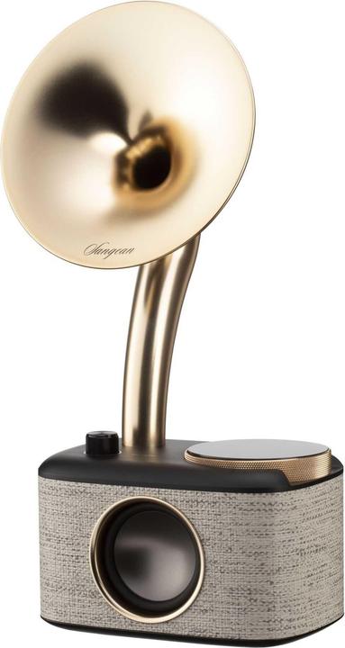 Image du produit Sangean CP 100D (DAB+ DAB, FM, Bluetooth)