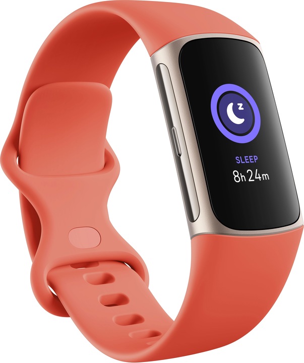 Image du produit Fitbit Charge 6 (36.73 mm)