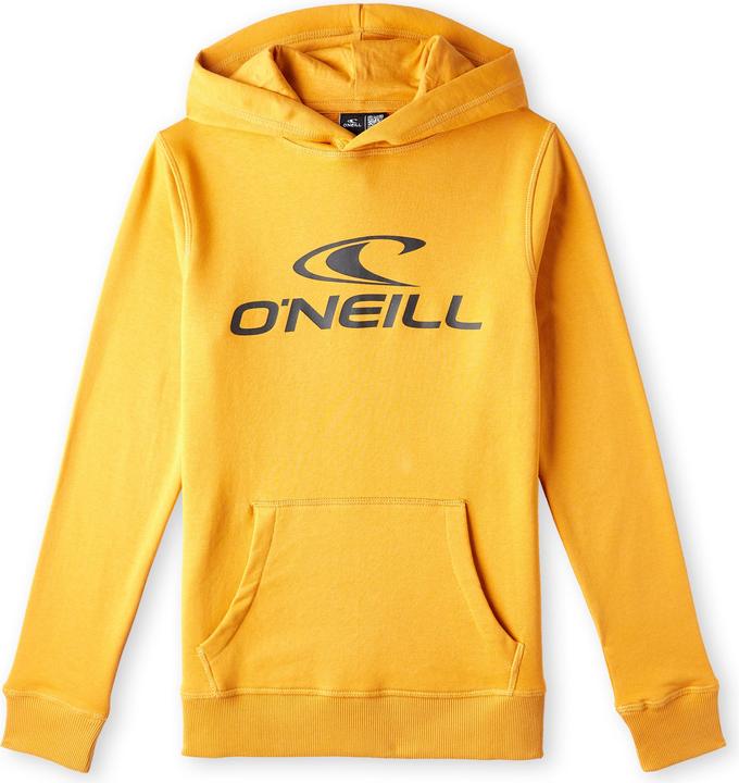 Produktbild O'Neill O’Neill Logo Hoodie (140)