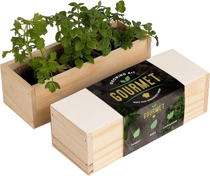Resetea Growing kit Gourmet - 3 herbes aromatiques