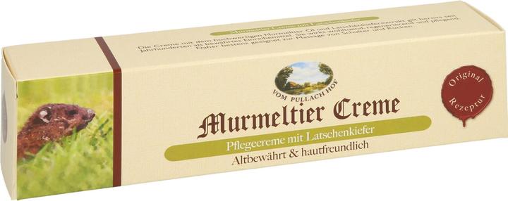 Produktbild Axisis Murmeltier Creme mit Latschenkiefer, 100 ml Creme (Körpercreme, 100 ml)
