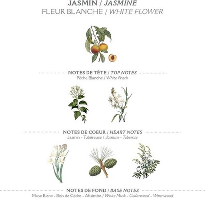 Produktbild Panier des Sens Hand- und Körperlotion Jasmin Absolue Lot (Körperlotion, 250 ml)