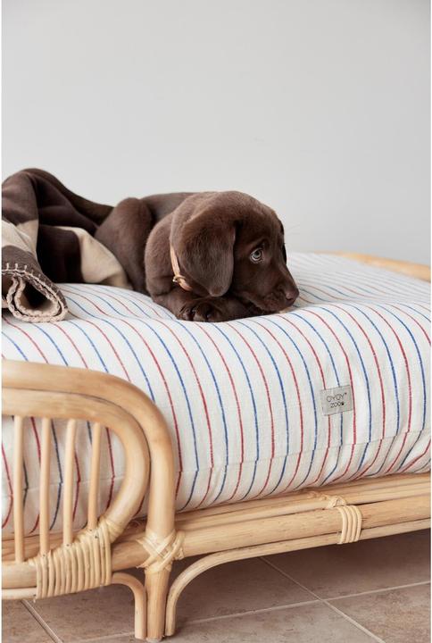 Immagine prodotto Oyoy Otto (Cane)