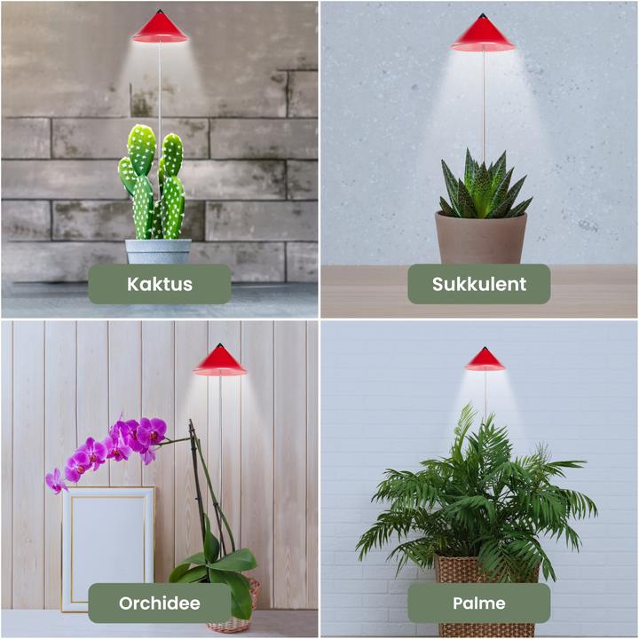 Produktbild Colibri Sunlite (LED, 230 V)