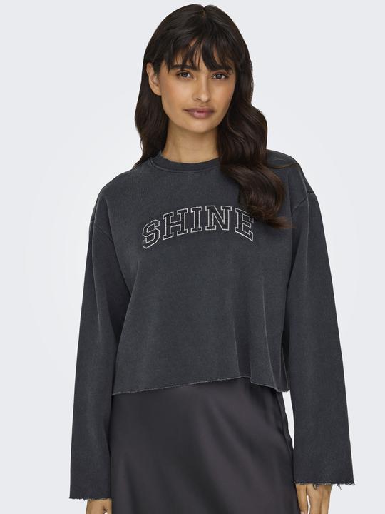 Actual product image Only Regular fit round neck sweatshirt Sweatshirt (L)