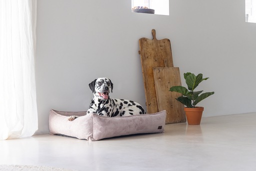 Immagine prodotto Designed by Lotte Divano letto a coste (Cane)
