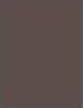 Actual product image Maybelline New York Tattoo Brow (Ash Brown)