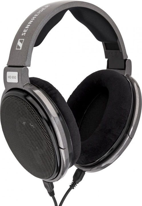 Immagine prodotto Sennheiser HD 650 (Nessuna soppressione del rumore, Cablato)