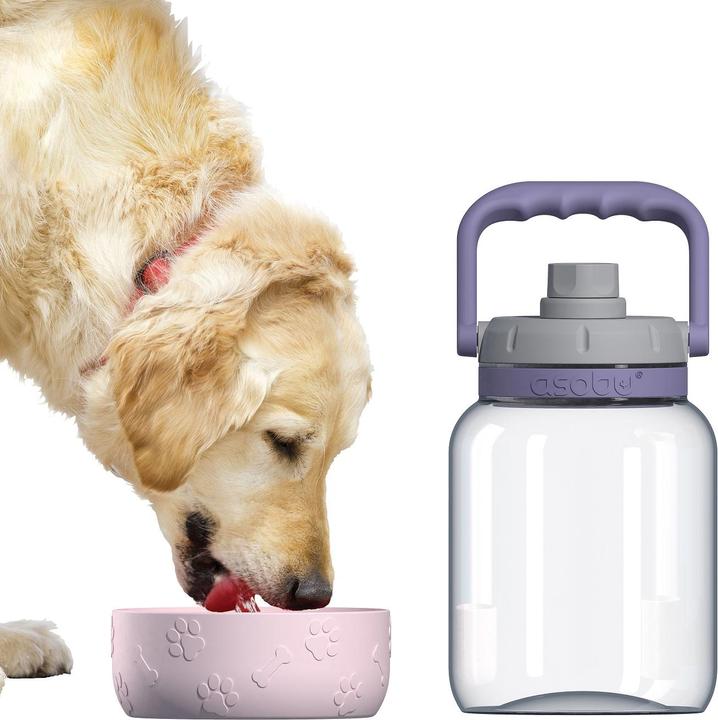 Actual product image Asobu The Barkely Bowl Bottle - pink - (84259104617) (150 cl)
