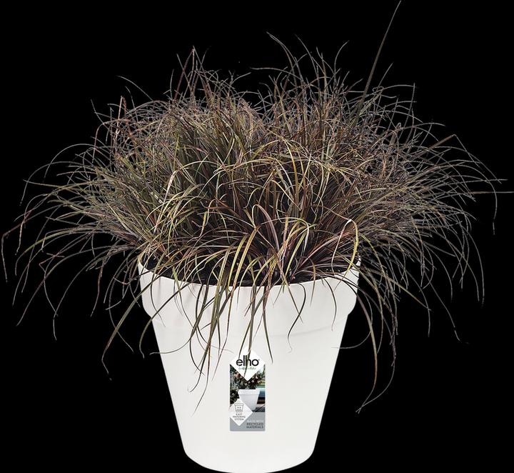 Image du produit Elho Loft urbain (38.50 cm)