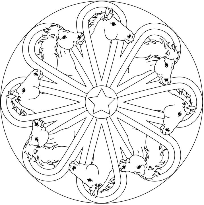 Produktbild Mein superdicker Pferdefreunde-Malblock