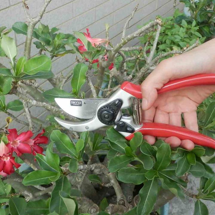 Produktbild Siena Garden Bypass