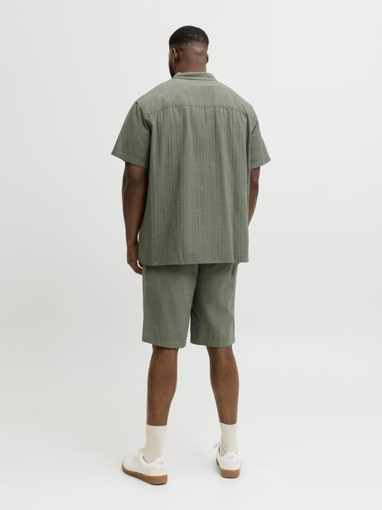 Image du produit Jack & Jones Jpstjaiden Tyson Jogger Short Pls (38)