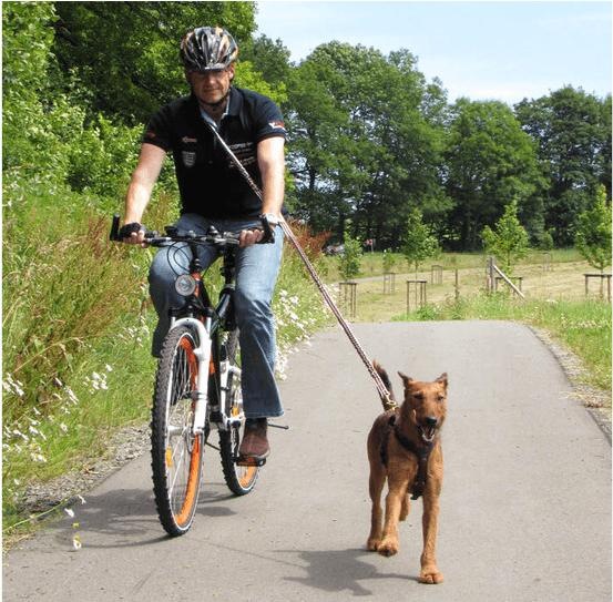 Produktbild Niggeloh Umhängeleine Stretch (Hund, Jogging)