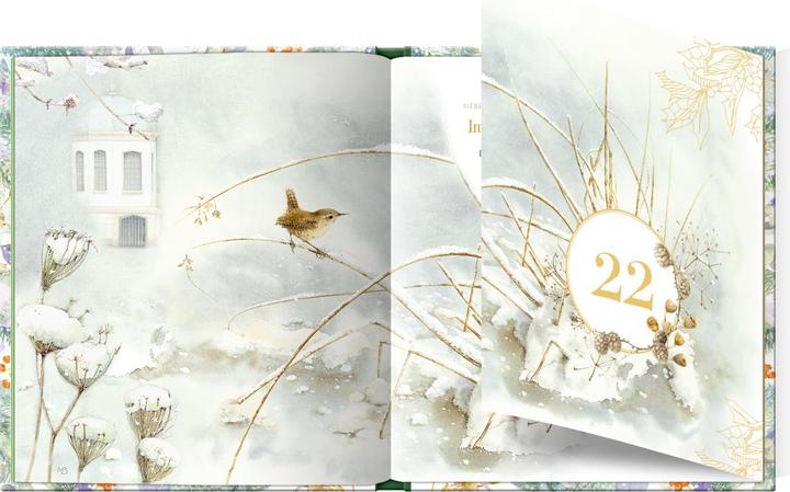 Produktbild Adventskalenderbuch