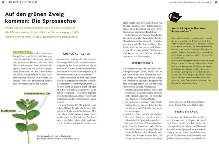Image du produit Pflanzen endlich verstehen (Allemand, Karin Greiner, 2022)