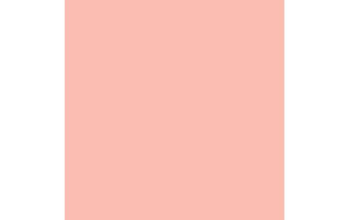 Image du produit Duni Servir (250 pcs, 24 x 24 cm)