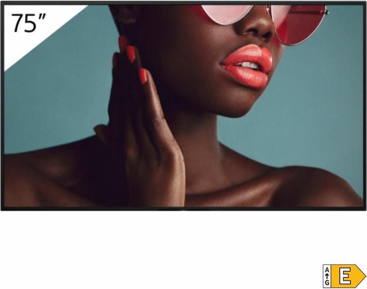 Sony 75" Pro BRAVIA LCD 700nit Haze (3840 x 2160 Pixel, 75")