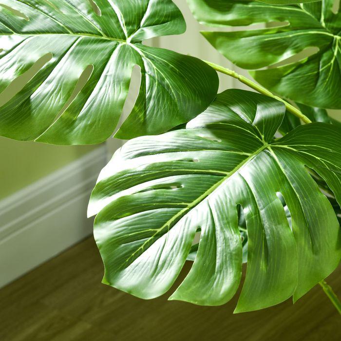 Immagine prodotto Swisshandel24 Monstera (120 cm)