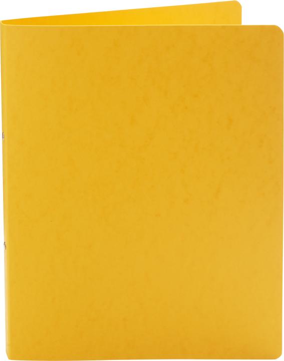 Produktbild Brunnen Ringbuch, DIN A4 (A4, 1 Stk.)