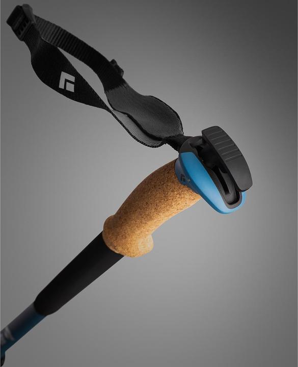 Image du produit Black Diamond Alpine Carbon Cork WR (100 - 130 cm)