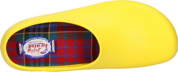 Image du produit Alsa Gartenclogs FASHION Jolly (35)