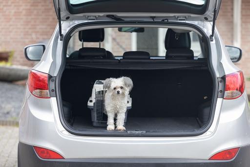 Image du produit Karlie Nomad Top Loader (Chat, Chien, Verrouillable)