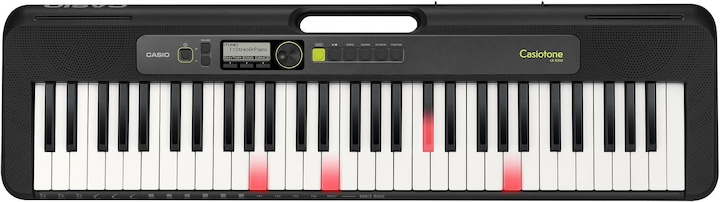 Actual product image Casio LK-S250 (61 Keys)