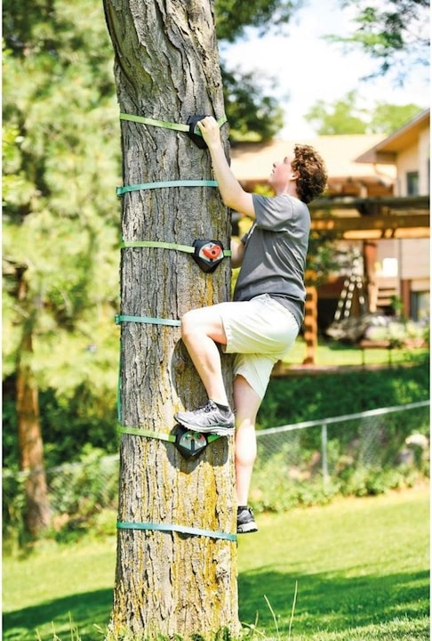 Immagine prodotto Schildkröt Treeclimbers ninja (2.20 m)
