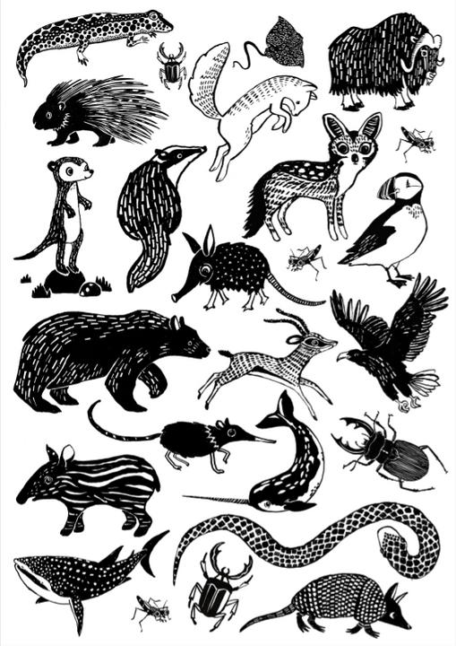 Immagine prodotto Petit Monkey Tatuaggi per bambini, Animali neri