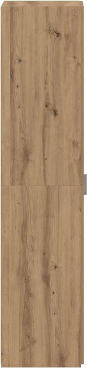 Image du produit vidaXL Buffet haut (42.50 x 50 x 185 cm)