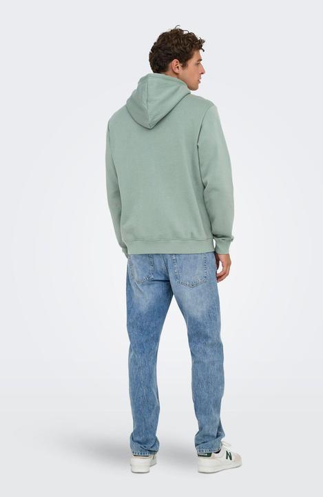Image du produit Only & Sons Onsconnor Reg Sweat Hoodie Noos (L)