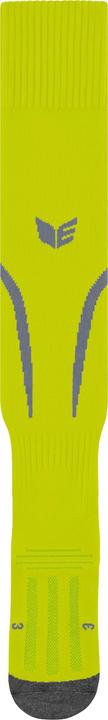 Actual product image Erima Tanaro Sock (37, 40)